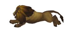 Gif animé lion court